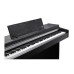 Kurzweil CUP M1 SR