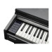 Kurzweil CUP M1 SR