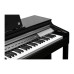 Kurzweil CUP P1 BP