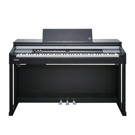 Kurzweil CUP P1 SR