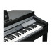 Kurzweil CUP P1 SR