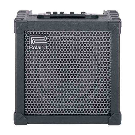 Roland Cube 30