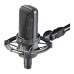 Audio-Technica AT4033aSM