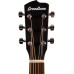 Breedlove Discovery S Dreadnought Concerto - European Spruce-African Mahogany (DSCO01EUAM) Breedlove Discovery S Dreadnought Concerto - European Spruce-African Mahogany (DSCO01EUAM)