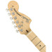 Fender American Performer Strat SLPB