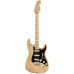 Fender American Pro Strat Maple Na