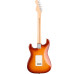 Fender American Pro Strat Maple SSB