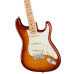Fender American Pro Strat Maple SSB