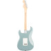 Fender American Pro Strat Rosewood SG