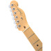 Fender American Pro Tele Maple 2SB