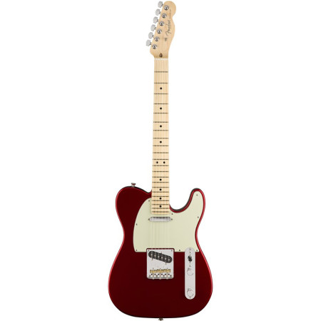 Fender American Pro Tele Maple CAR