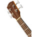 Fender CB-60SCE Bass Na