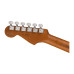 Fender Player Strat Limited Edition Roasted Maple 2-Color Sunburst