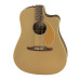 Fender Redondo Player Bronze Satin