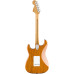 Fender Vintera 70s Strat AN