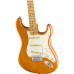 Fender Vintera 70s Strat AN