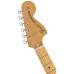 Fender Vintera 70s Strat AN