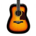 Ibanez AW300 VS