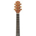 Ibanez EW50