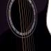Ibanez JSA10 bk With Hard Case