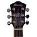 Ibanez JSA10 bk With Hard Case