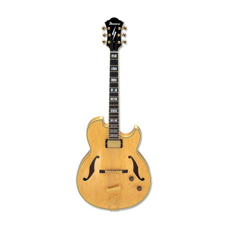 Ibanez PM100 NT