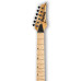 Ibanez RG721MSM NTF
