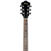 Ibanez SGT120