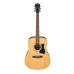 Ibanez V50NJP NT