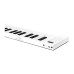 Blackstar Carry-On 88-Key Folding Piano and MIDI Controller