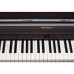 Roland RP501