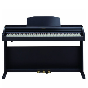 Roland RP501