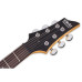 Schecter C 6 FR Pro Aqua Burst