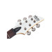 Schecter Demon 6 Vintage White