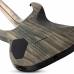 Schecter C 1 Apocalypse RG