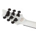 Schecter C 1 Ink Bomb