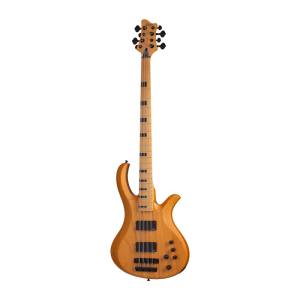 Schecter Riot 8 Session ANS