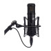 Warm Audio WA-47JR Black